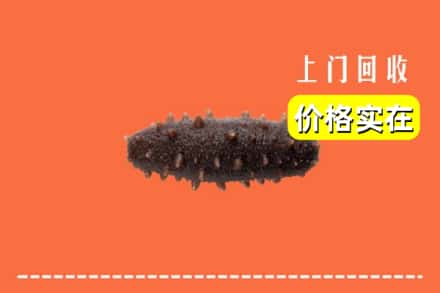 收购资讯:通辽霍林郭勒市回收海参